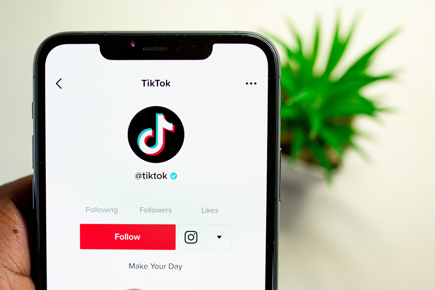 Top TikTok Trends To Grow Your Audience - Qera Marketing